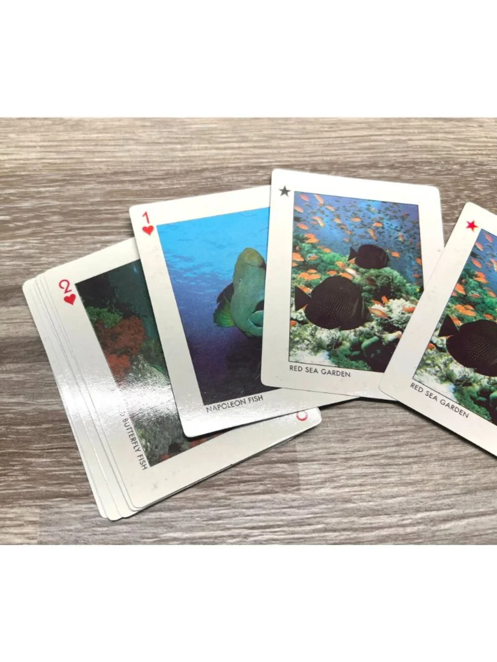 Vintage Ocean Playing Cards Deck Dive The Red Sea Colorful Fish Prints Complete
